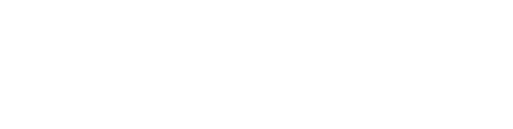 Slingshot_Wordmark_white